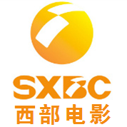 Shaanxi Film and Television Channel